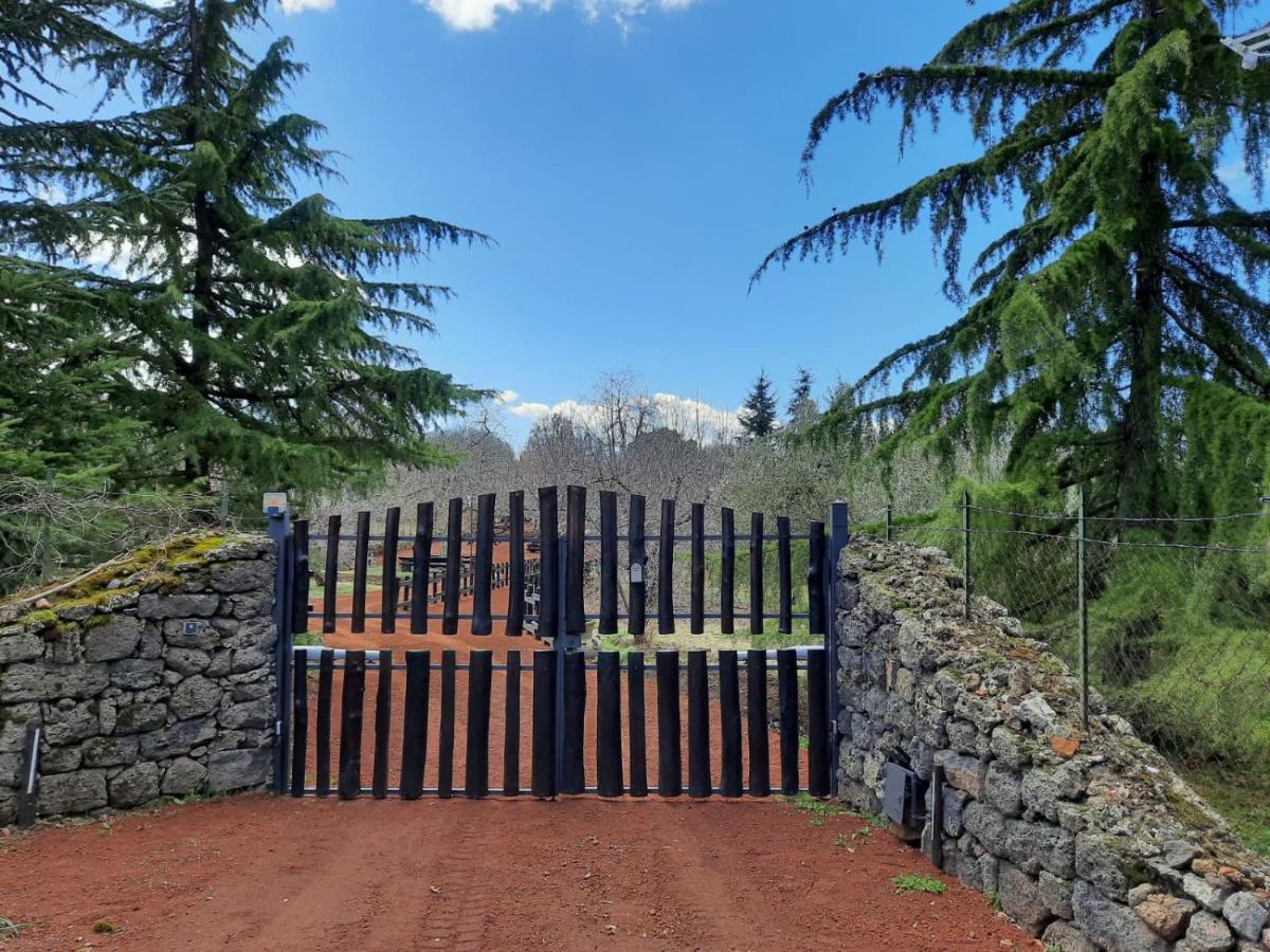 Willa Casa Etna Bronte Zewnętrze zdjęcie