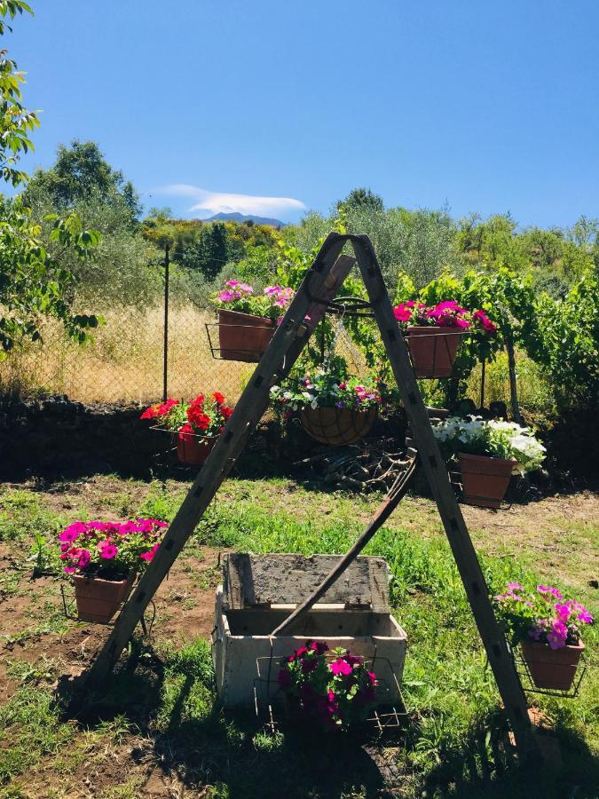 Willa Casa Etna Bronte Zewnętrze zdjęcie