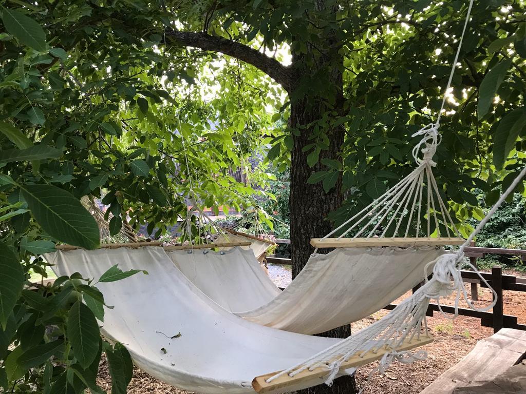 Willa Casa Etna Bronte Zewnętrze zdjęcie